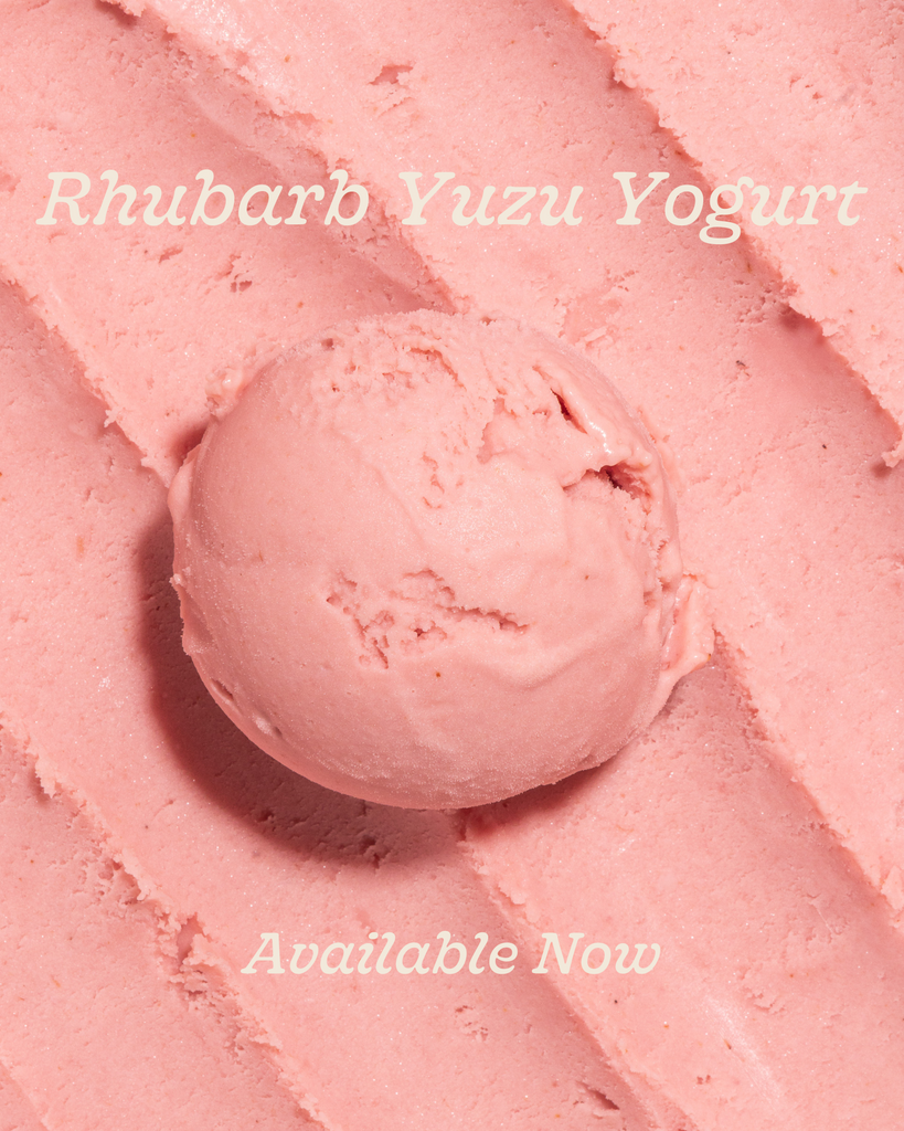 Rhubarb Yuzu Yogurt is BACK