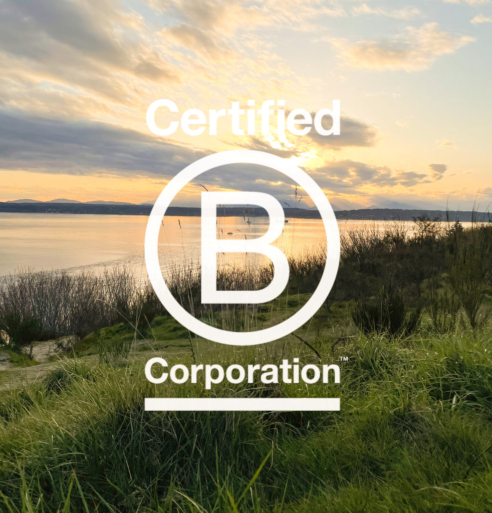 We are now a B-Corp!