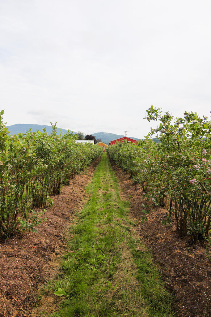 Farmland Forever